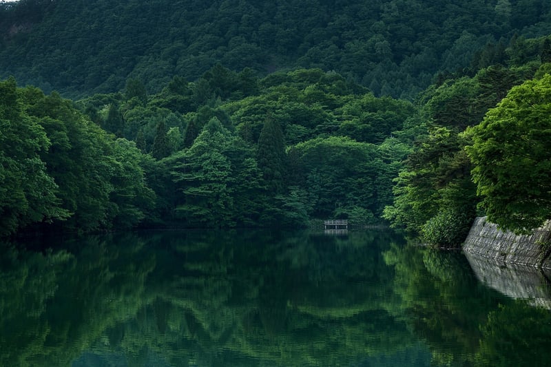 Hidden Treasure